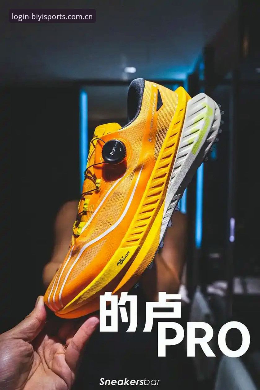 揭秘必一体育登录背后的功能矩阵：一个技术评测员的深度拆解