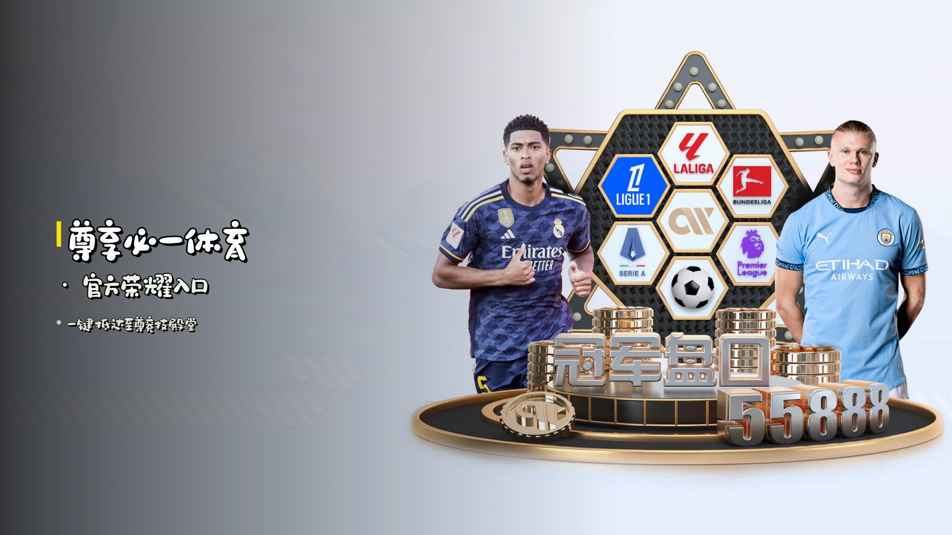 B1 | 必一体育·官方网站